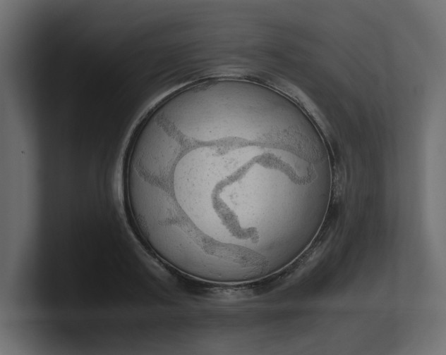 X0000100480795200806271201