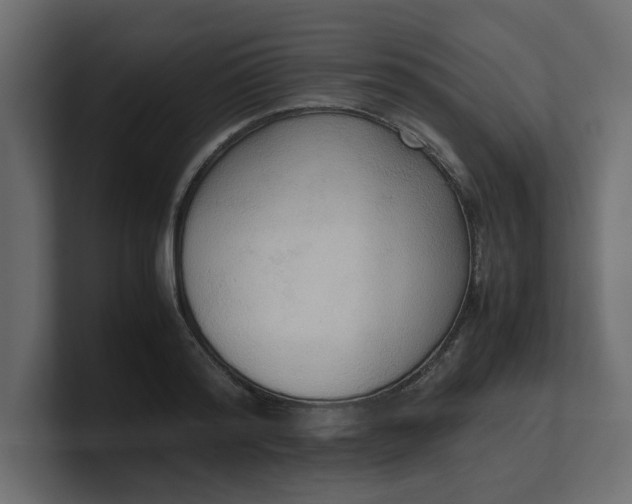 X0000100480796200806271201
