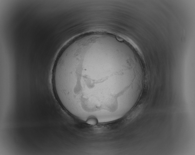 X0000100480799200806271201