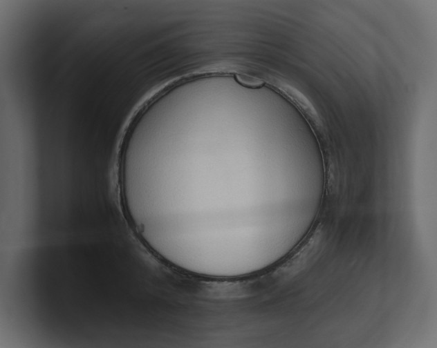 X0000100480800200806271201