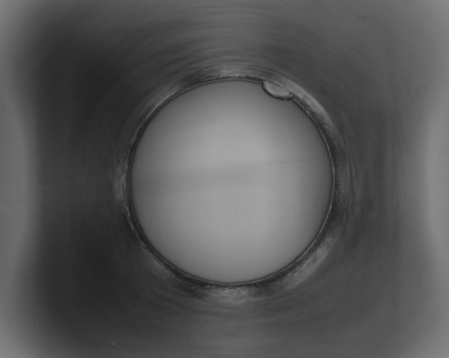 X0000100480801200806271201