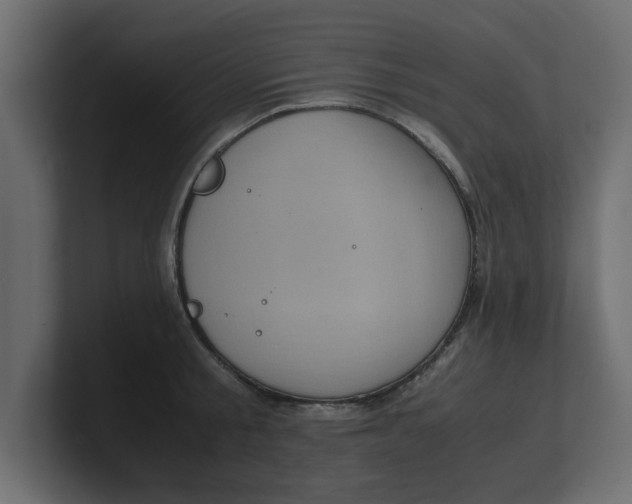 X0000100480805200806271201