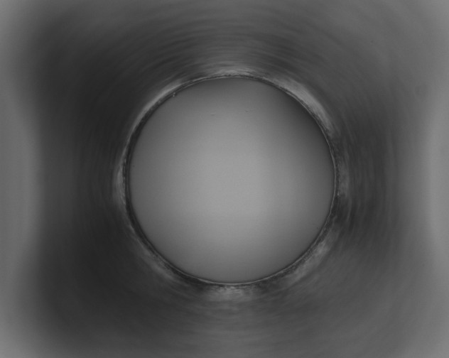 X0000100480806200806271201
