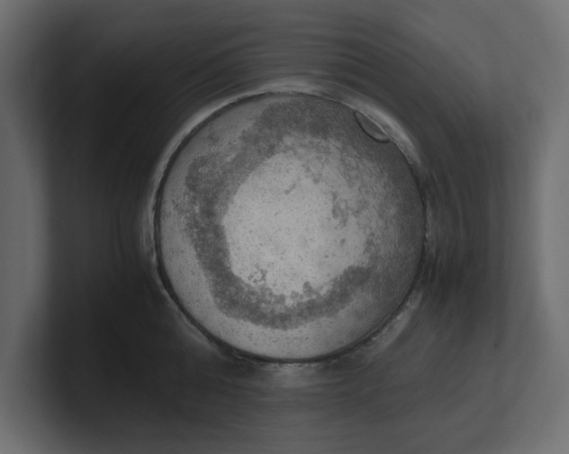 X0000100480808200806271201
