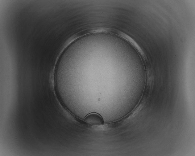 X0000100480810200806271201