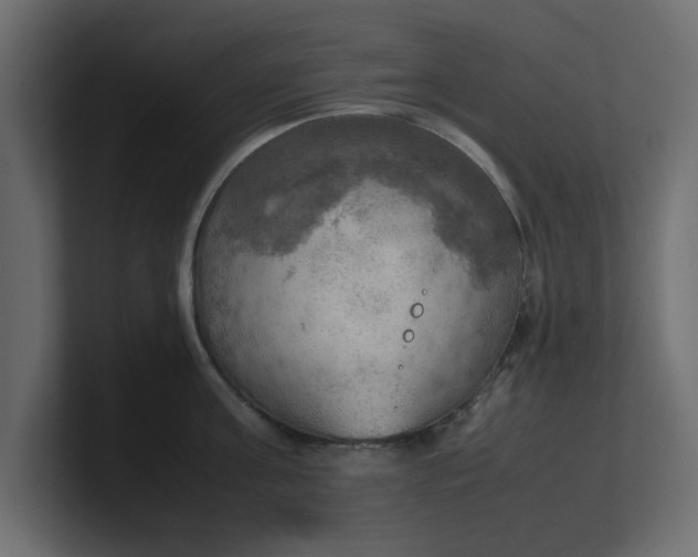 X0000100480811200806271201