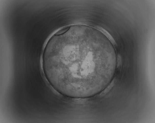 X0000100480812200806271201