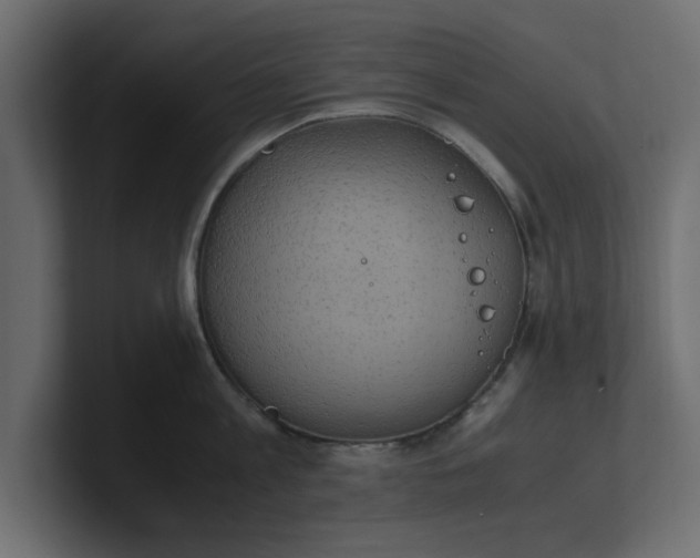 X0000100480813200806271201