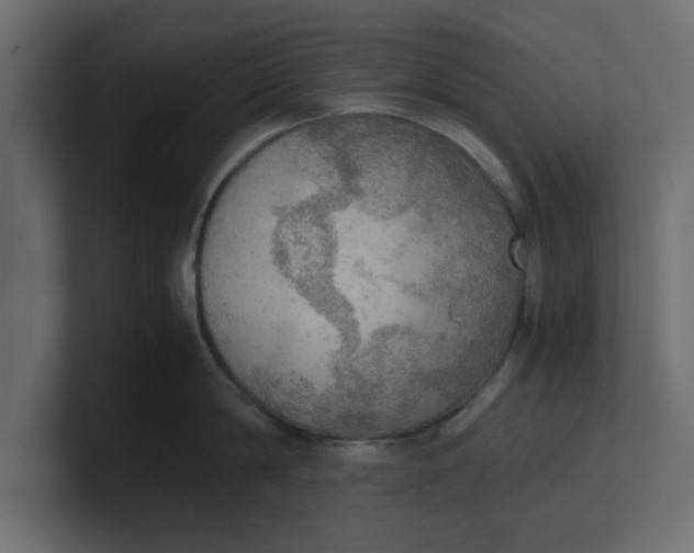 X0000100480814200806271201