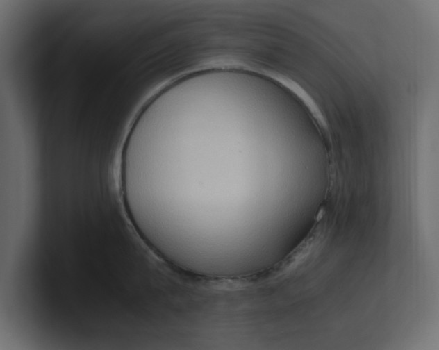 X0000100480815200806271201