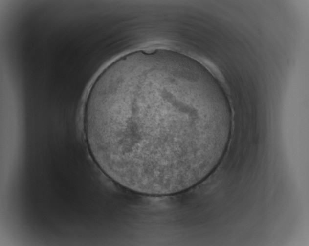 X0000100480816200806271201