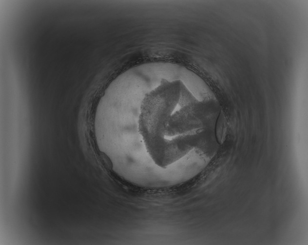 X0000100480817200806271200