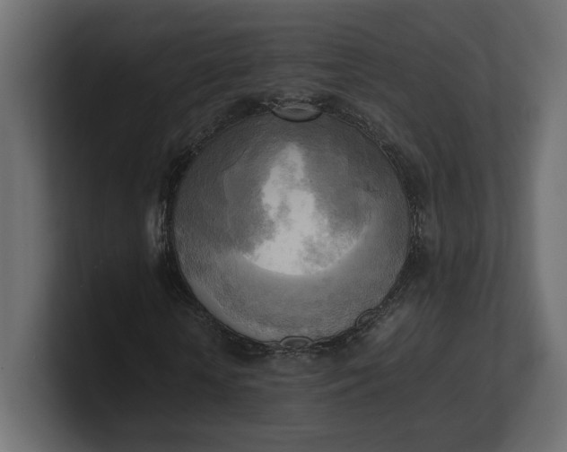 X0000100480818200806271200
