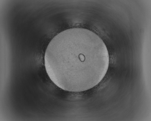 X0000100480820200806271200