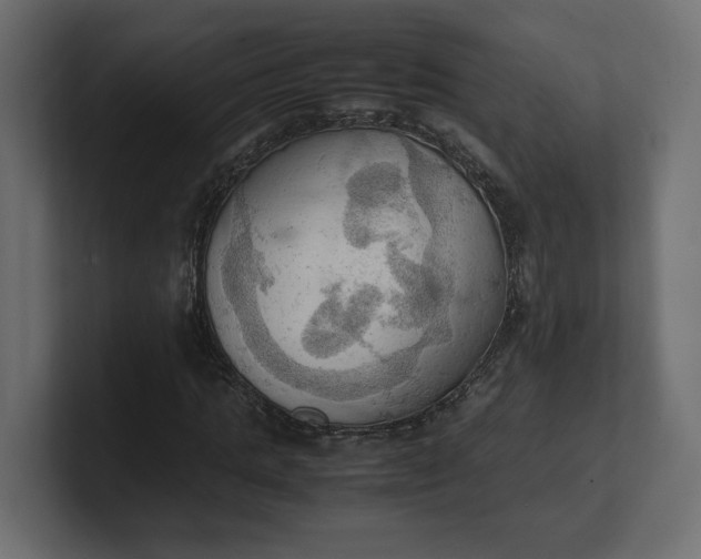 X0000100480821200806271200