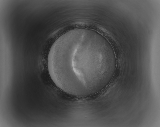 X0000100480822200806271200