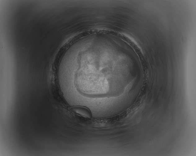 X0000100480823200806271200