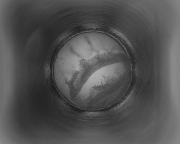 X0000100480825200806271200