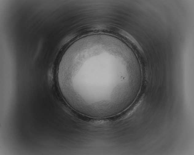 X0000100480826200806271200