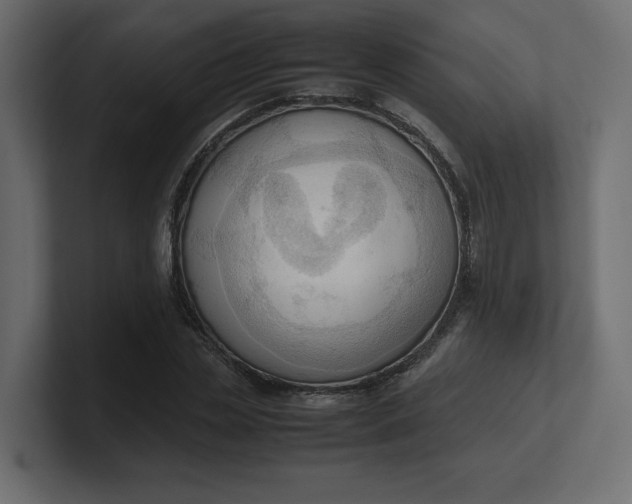 X0000100480829200806271200