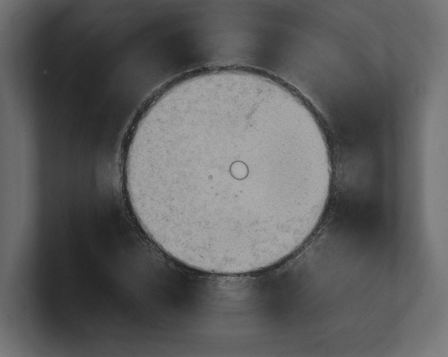 X0000100480832200806271200