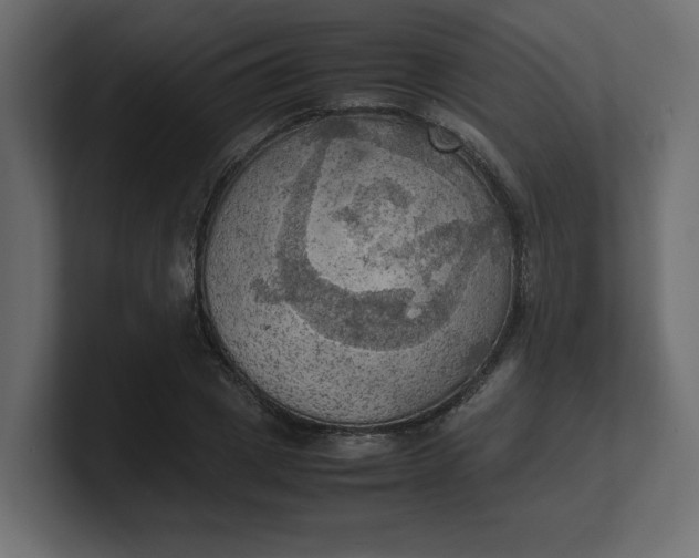 X0000100480833200806271200