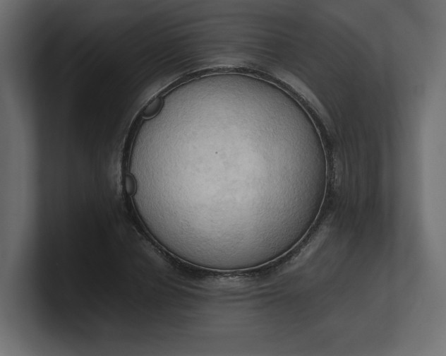 X0000100480834200806271200