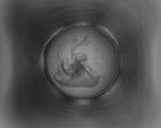 X0000100480835200806271200
