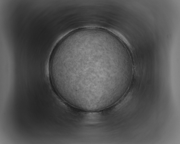 X0000100480839200806271200