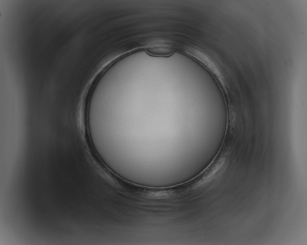 X0000100480843200806271201