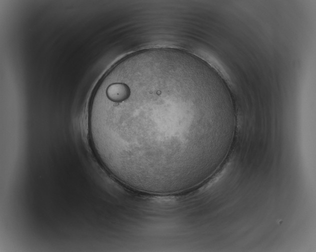 X0000100480844200806271201
