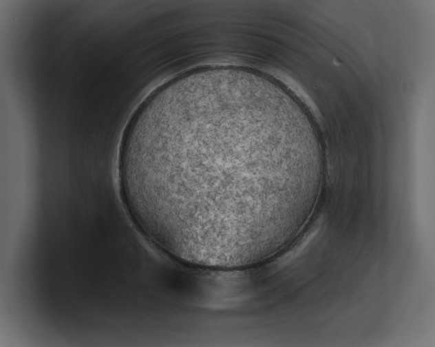 X0000100480845200806271201