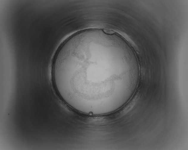 X0000100480846200806271201