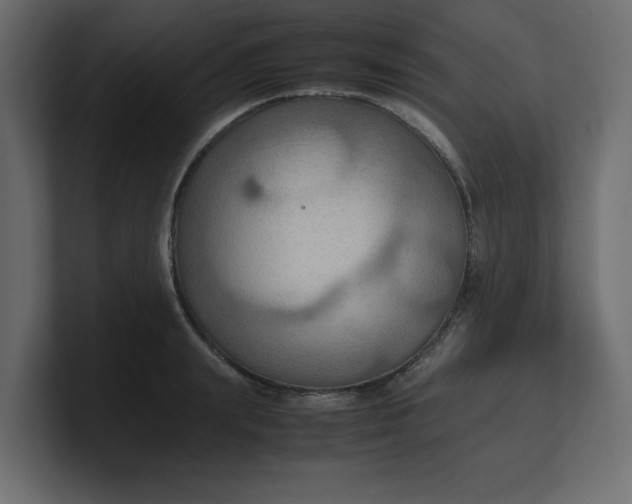 X0000100480847200806271201