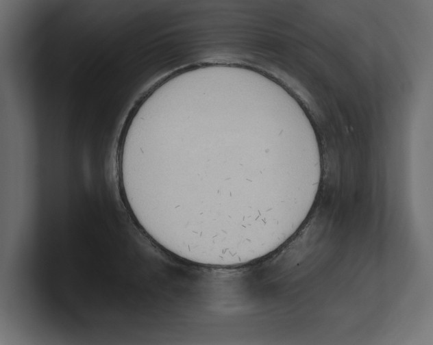 X0000100480848200806271201