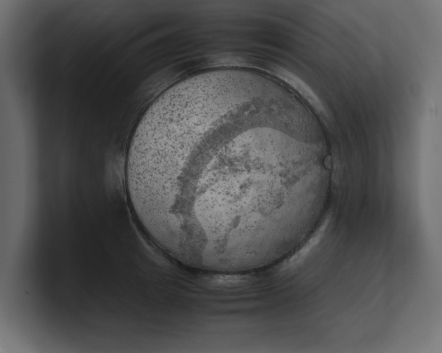 X0000100480849200806271201