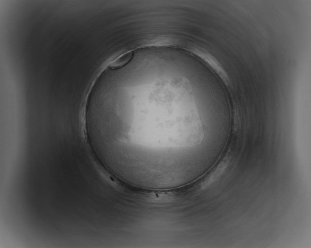 X0000100480850200806271201