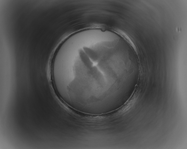 X0000100480851200806271201