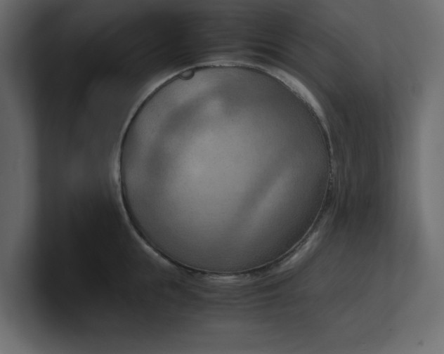 X0000100480855200806271201