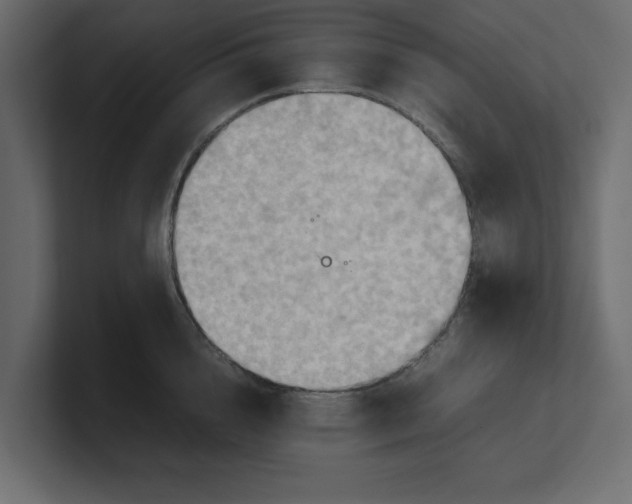 X0000100480856200806271201