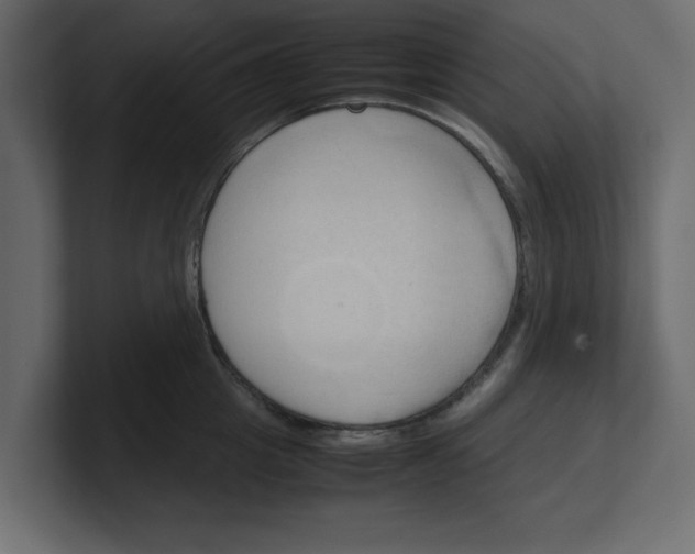 X0000100480857200806271201