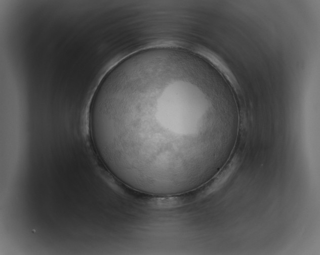 X0000100480858200806271201