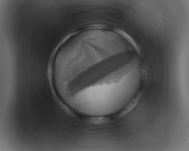 X0000100480859200806271201