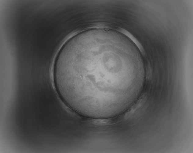 X0000100480861200806271201