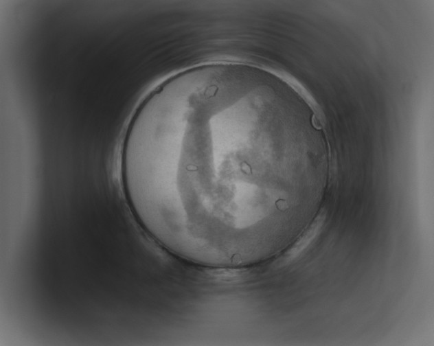 X0000100480862200806271201