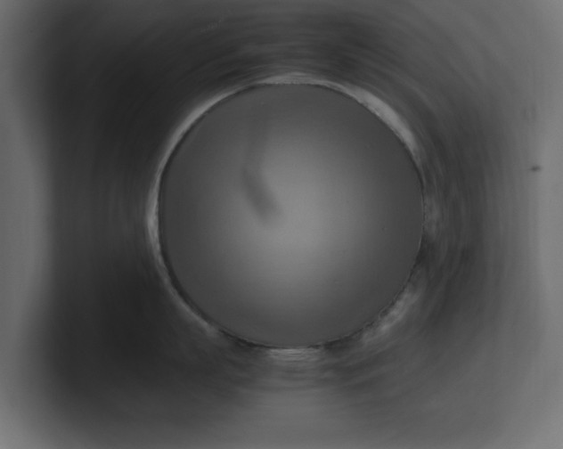 X0000100480863200806271201