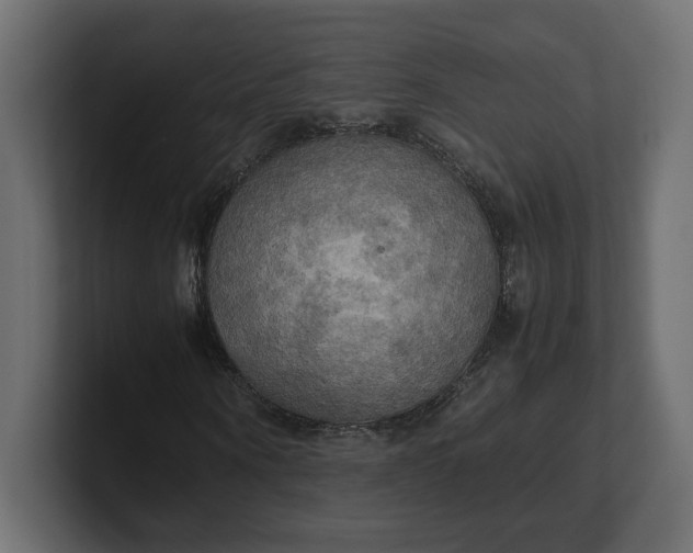 X0000100480866200806271200
