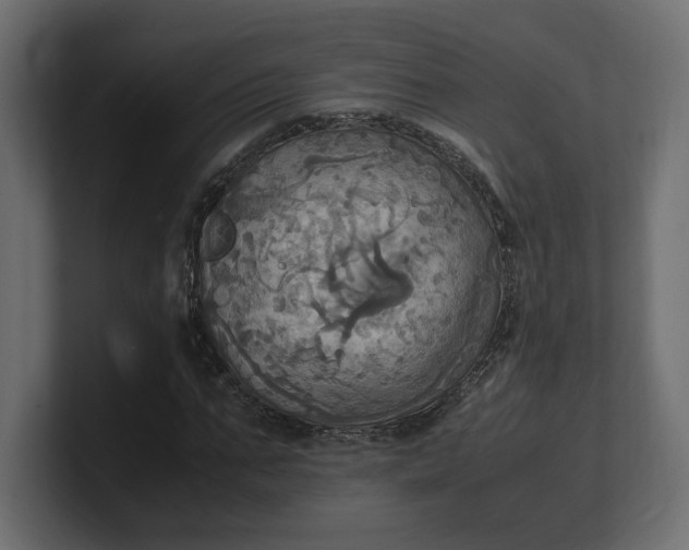 X0000100480871200806271200
