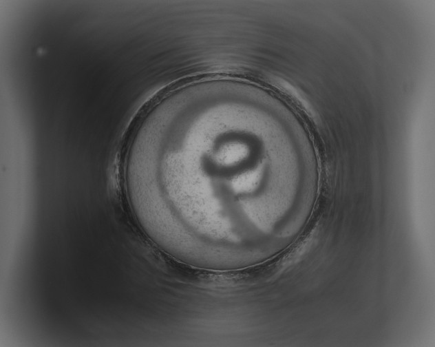 X0000100480875200806271200