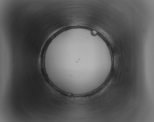 X0000100480876200806271200
